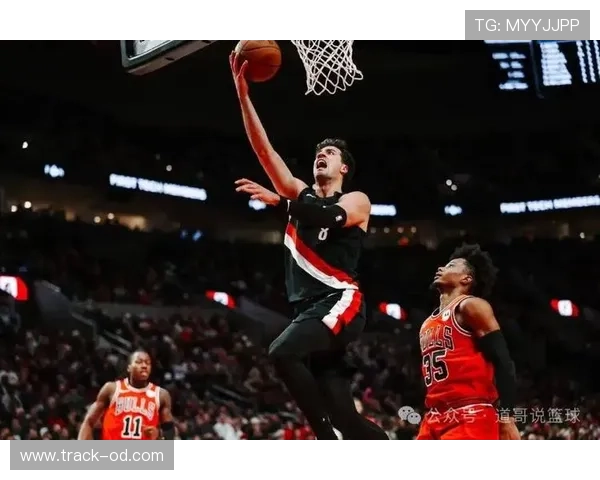 武切维奇中距离命中率领先队内，挡拆助攻显著提升效率